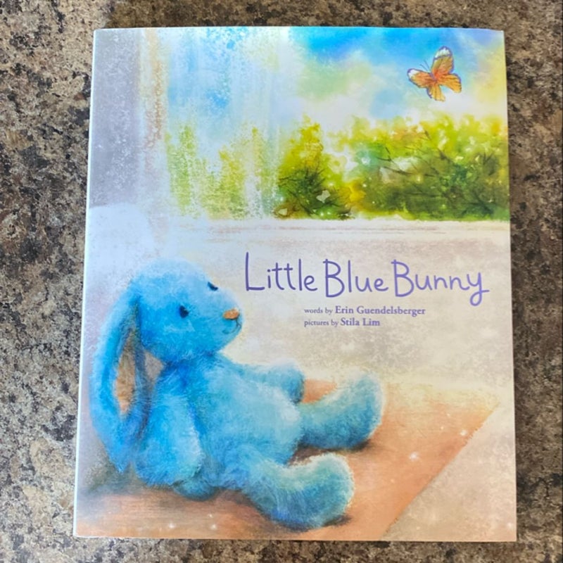 Little Blue Bunny