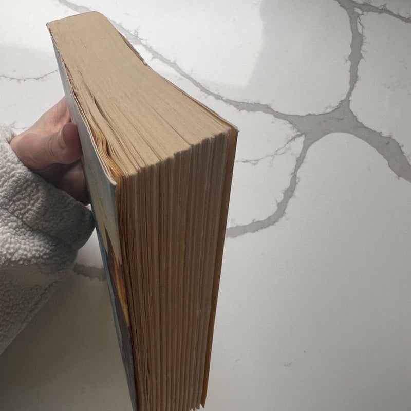 The Book of Lost and Found