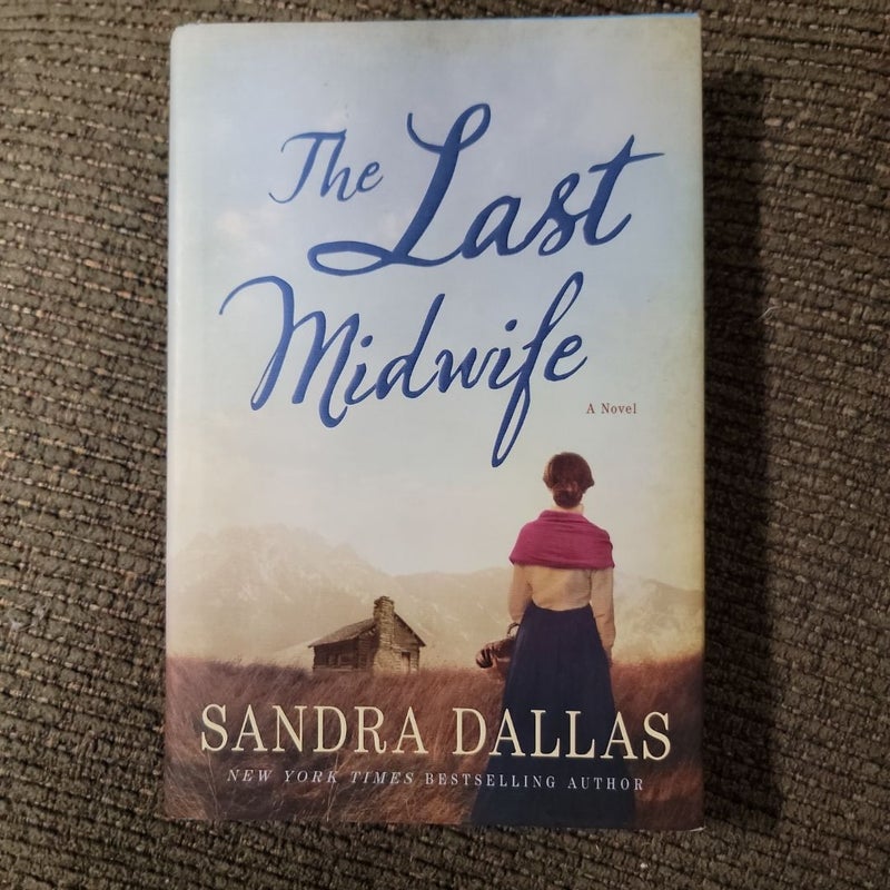 The Last Midwife