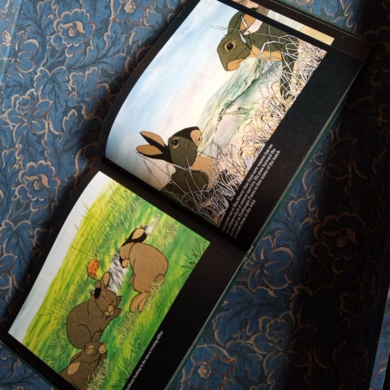 The Watership Down Film Picture Book