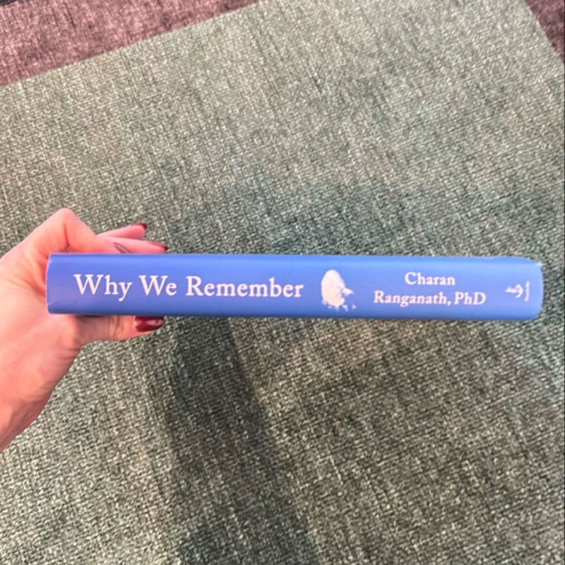 Why We Remember