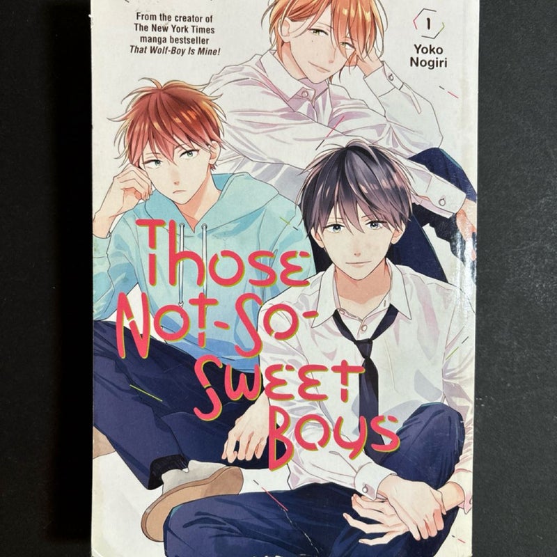 Those Not So Sweet Boys, Yoko Nogiri Books 1 and 2 