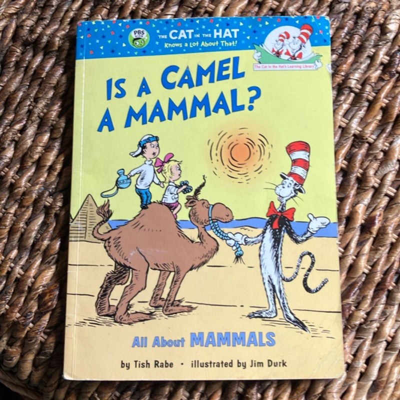 Is a Camel a Mammal?