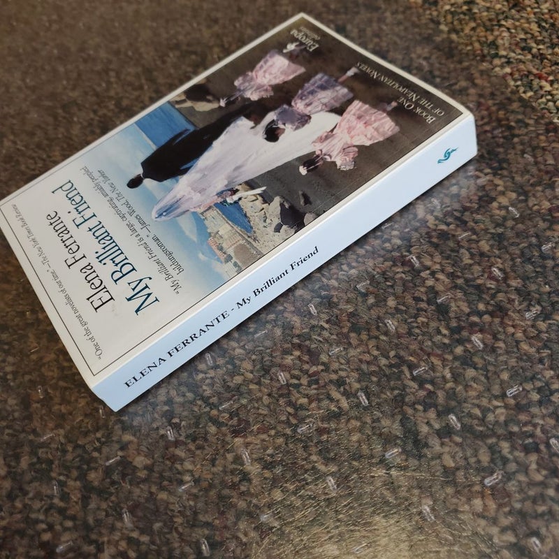 My Brilliant Friend