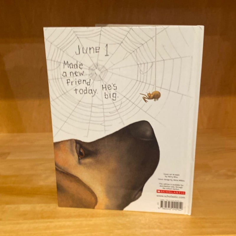 Diary of a Spider