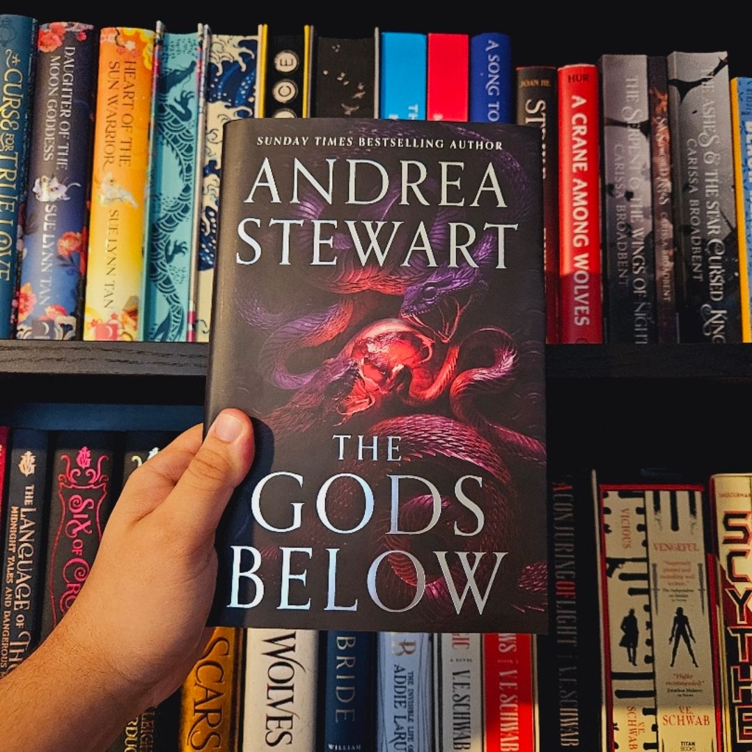 9780316564892 book cover