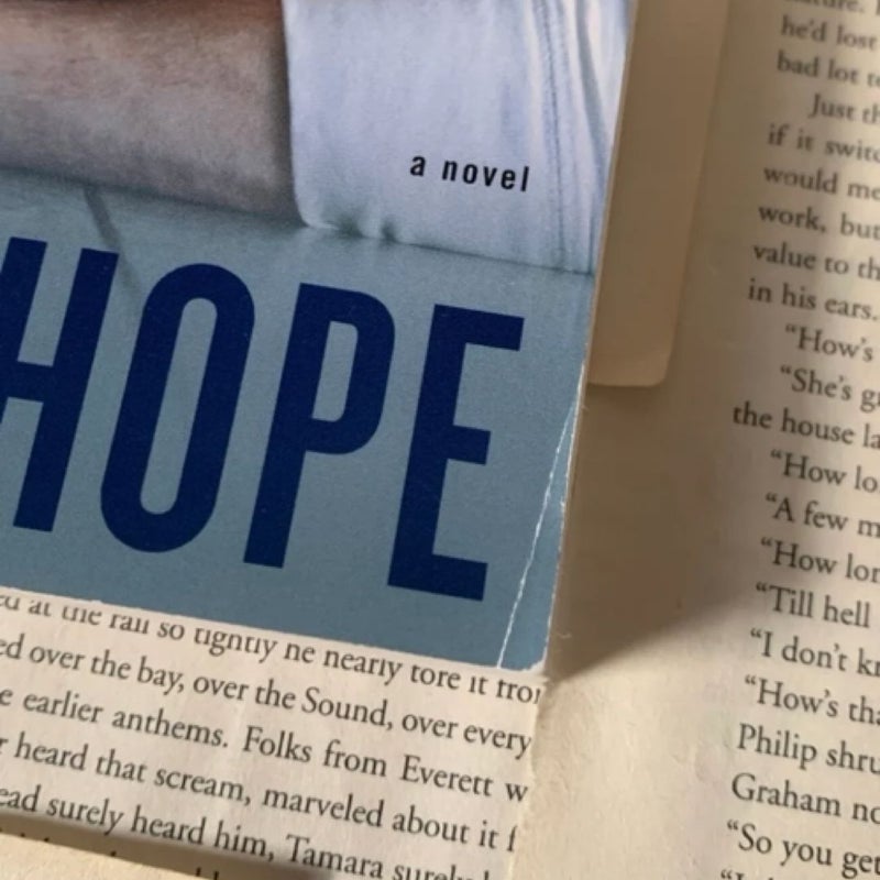 Colleen Hoover Book Bundle