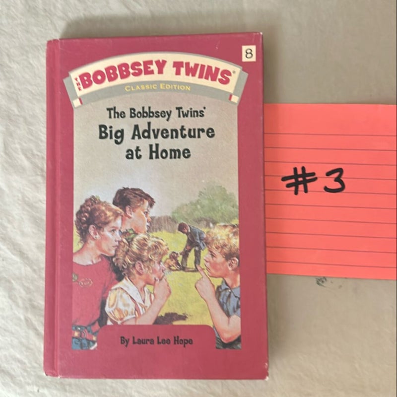 The Bobbsey Twins' Big Adventure at Home