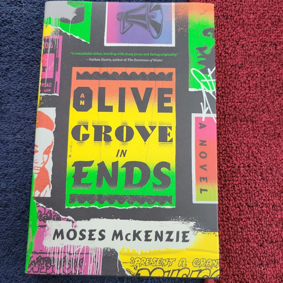 An Olive Grove in Ends