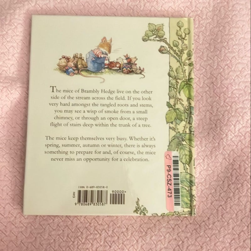 Spring Story (Brambly Hedge)