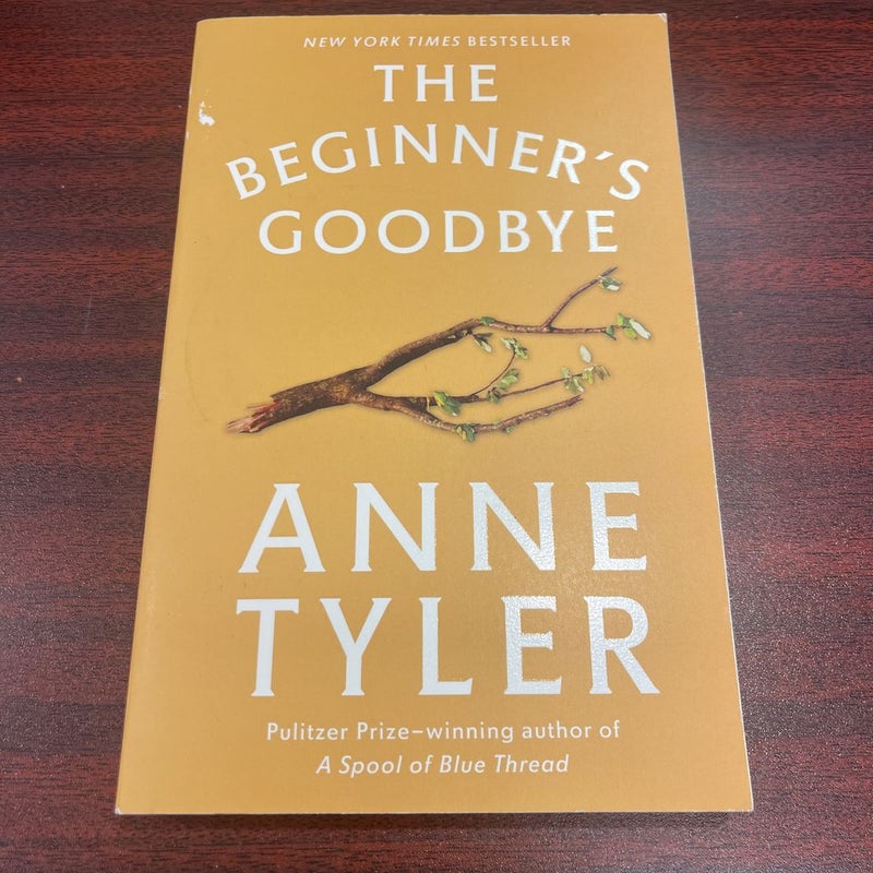 The Beginner's Goodbye