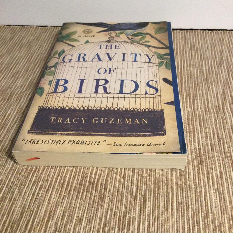 The Gravity of Birds by Tracy Guzeman, Paperback Pangobooks