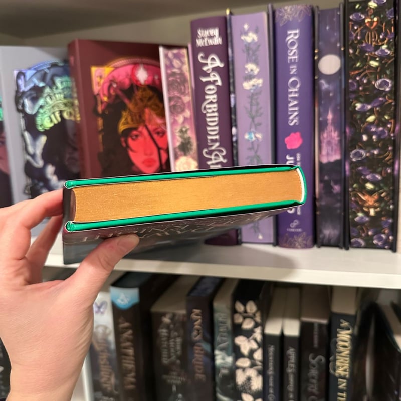 A Dawn with the Wolf Knight