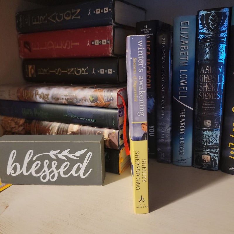 Amish romance books