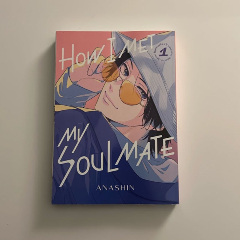How I Met My Soulmate 1