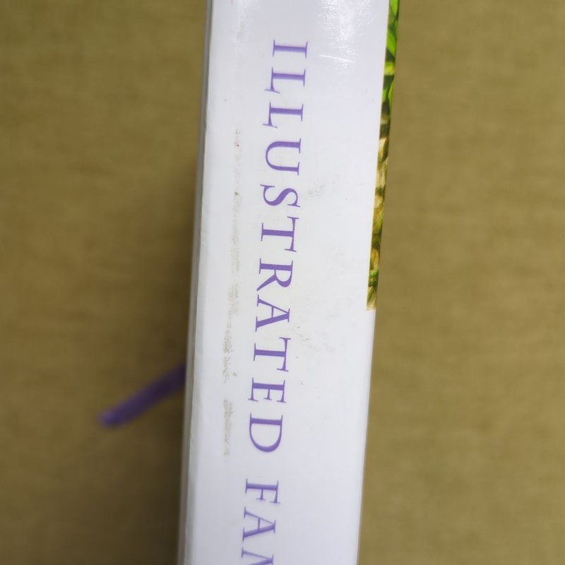 Illustrated Family Bible Stories