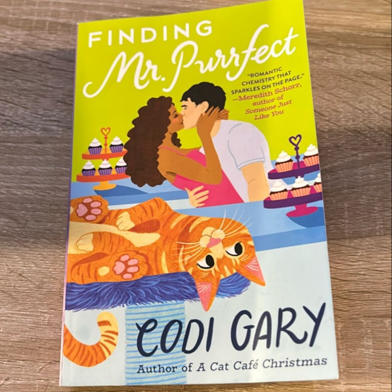 Finding Mr. Purrfect