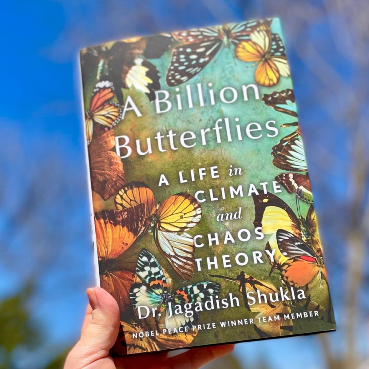 A Billion Butterflies by Jagadish Shukla