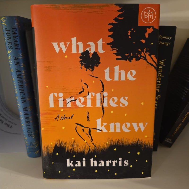 What the Fireflies Knew