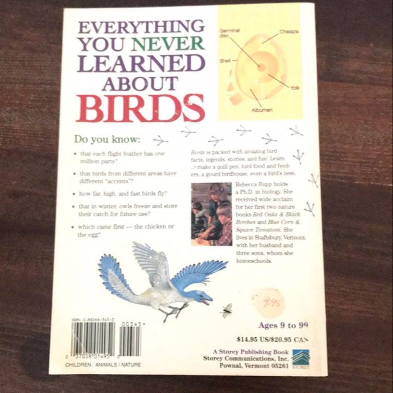 Everything You Never Learned About Birds