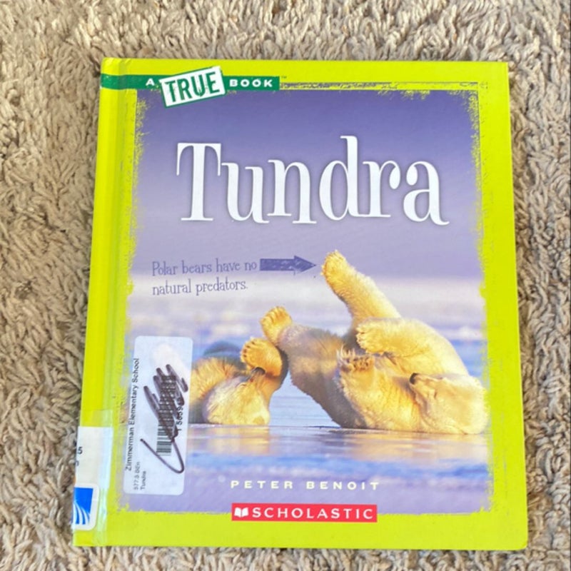 Tundra