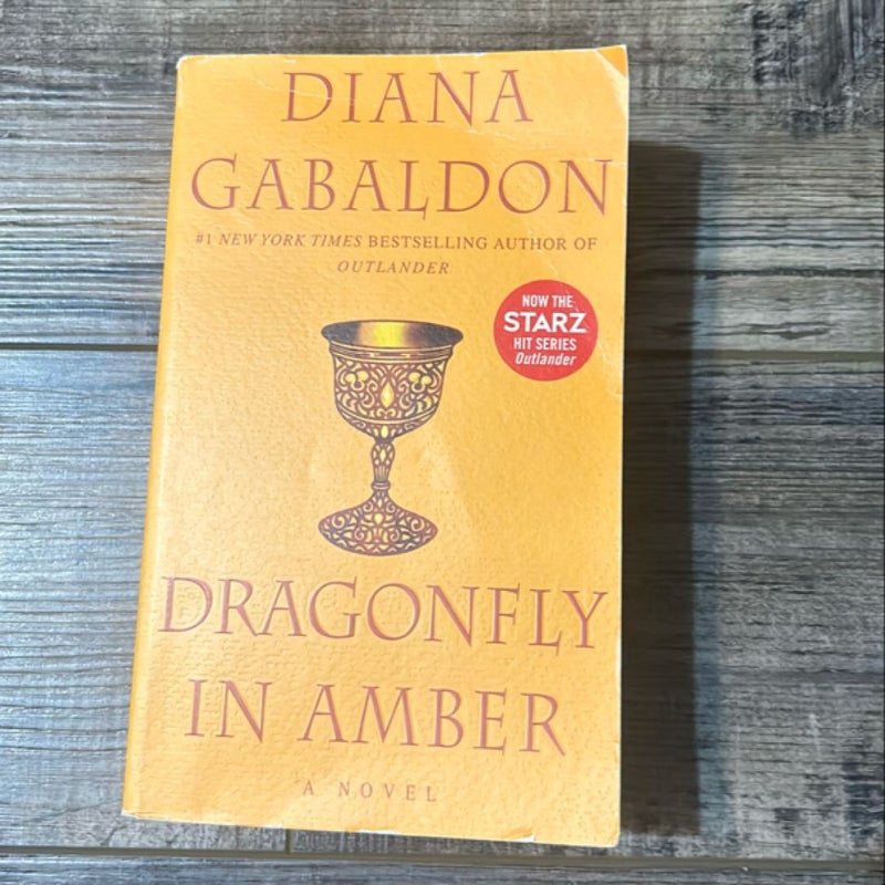 Dragonfly in Amber