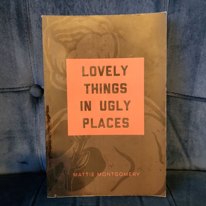 Lovely Things in Ugly Places