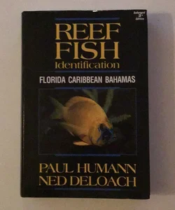 Reef Fish Identification Florida Caribbean Bahamas