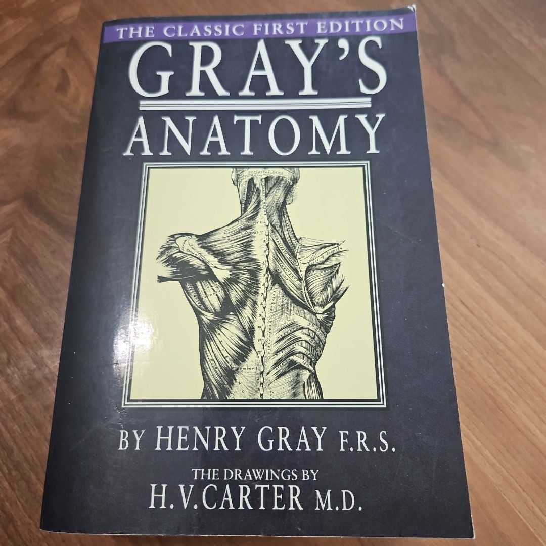 Gray's Anatomy