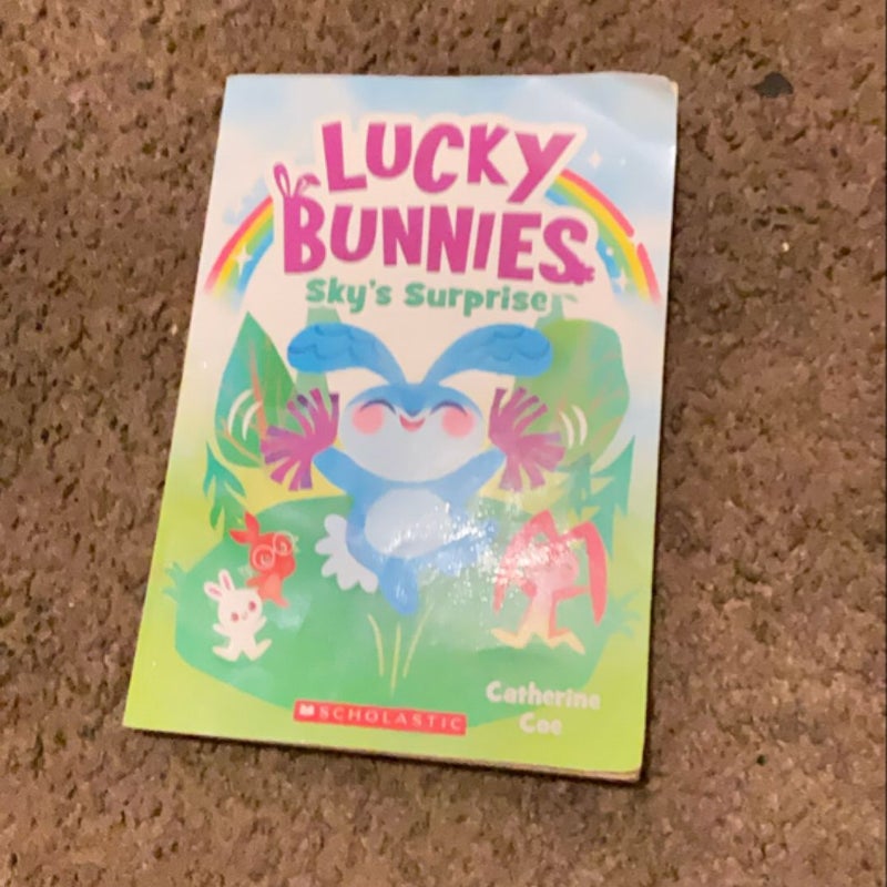 Sky's Surprise (Lucky Bunnies #1)