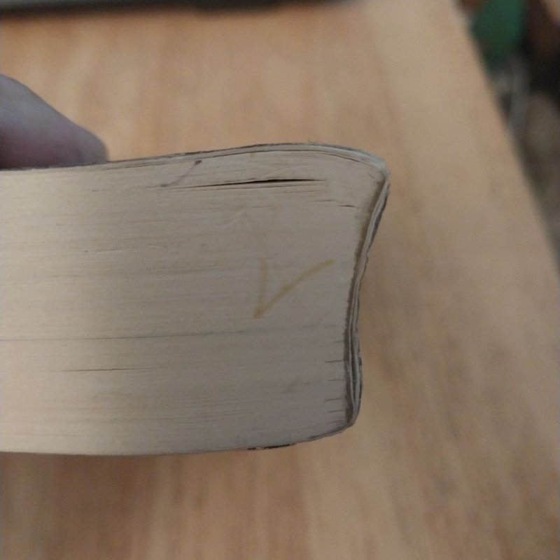 The Mongoliad: Book Two