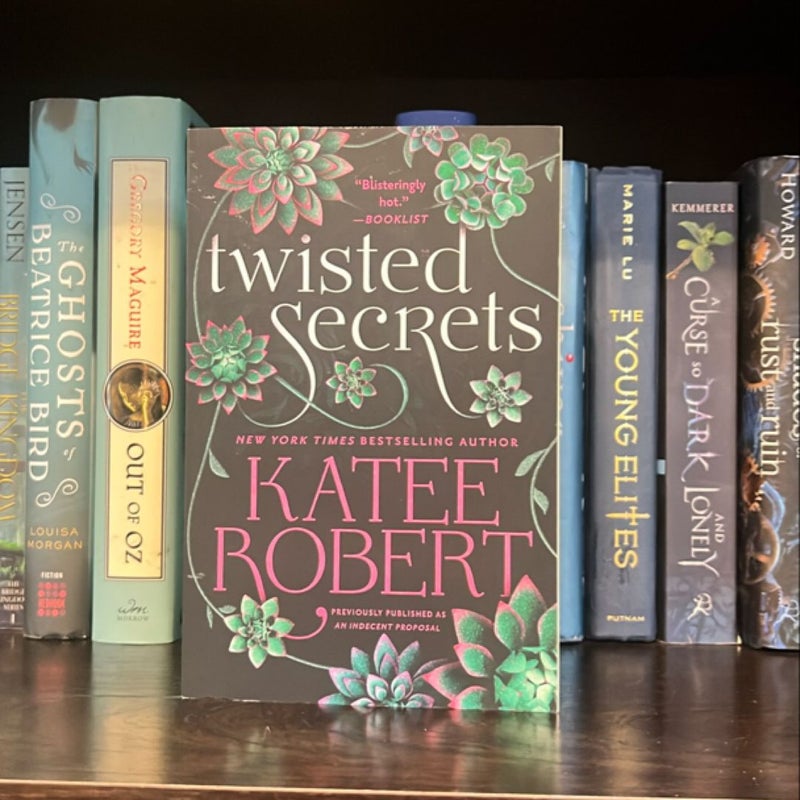 Twisted Secrets (previously Published As Indecent Proposal)