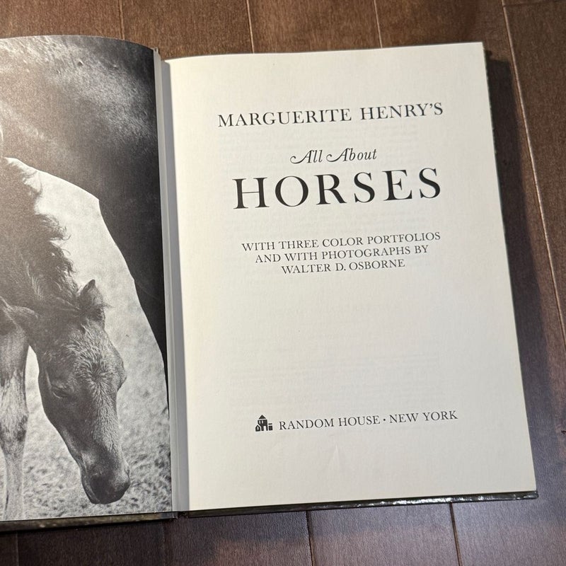 All about Horses