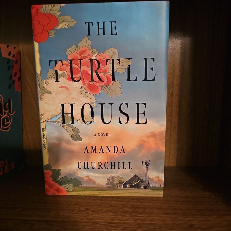 The Turtle House