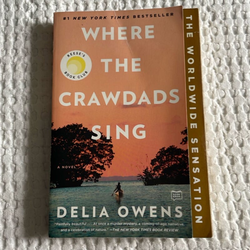 Where the Crawdads Sing