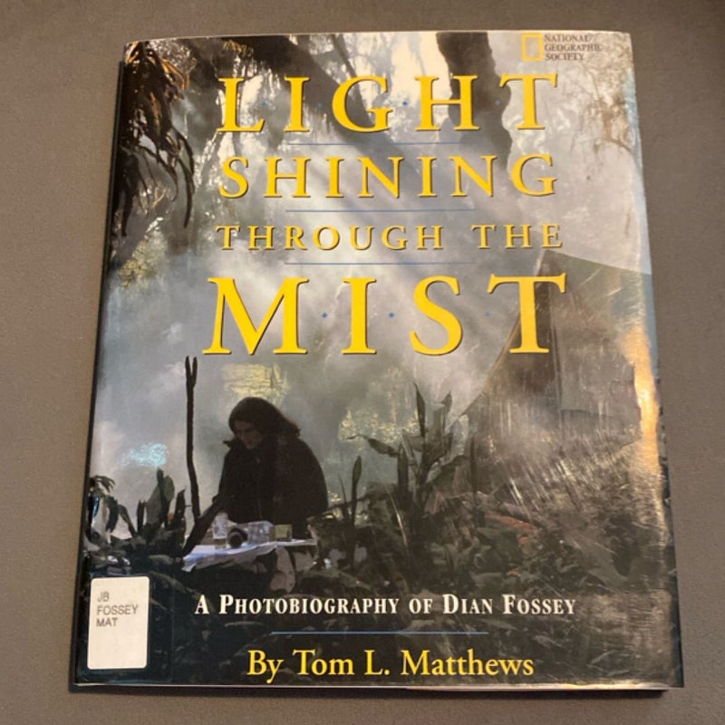 Light Shining Through the Mist