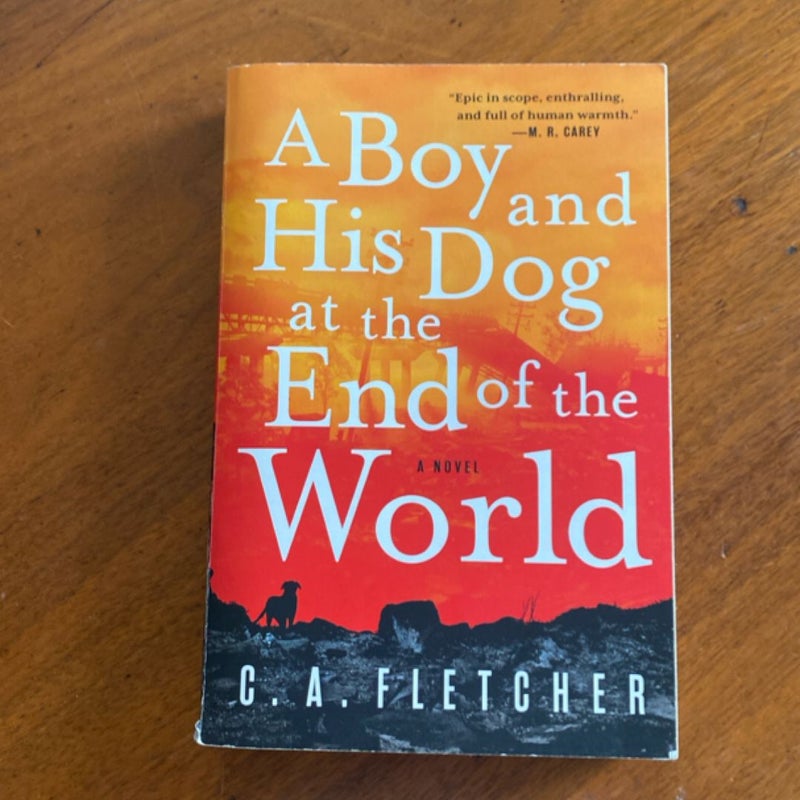 A Boy and His Dog at the End of the World