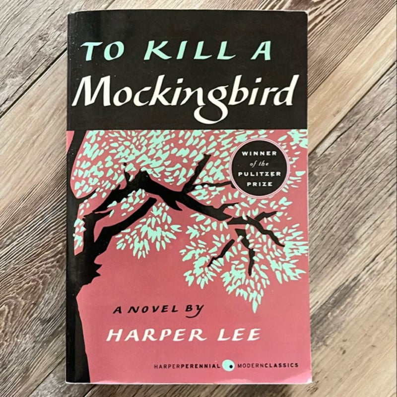 To Kill a Mockingbird Book and DVD