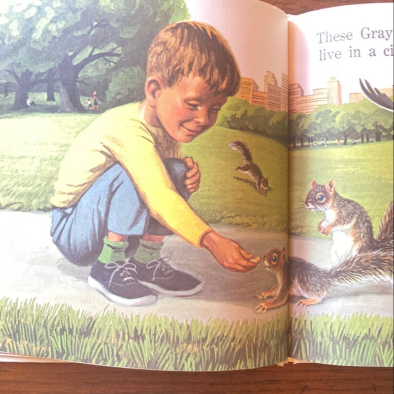 The Squirrel Book