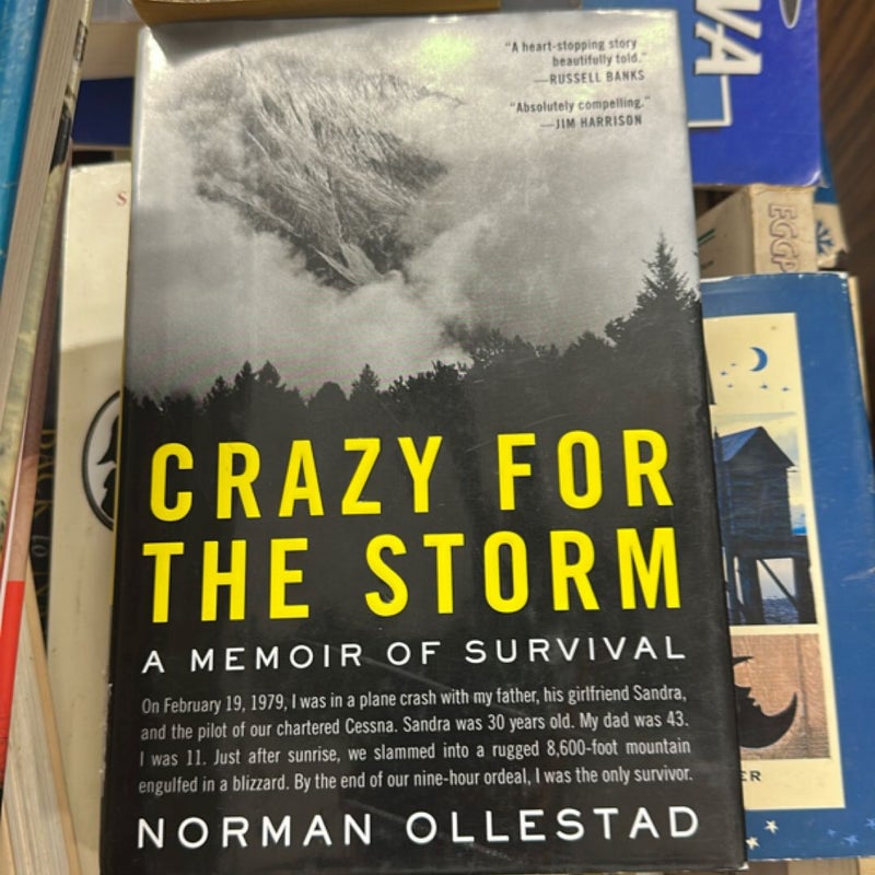 Crazy for the Storm