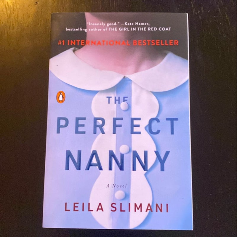 The Perfect Nanny