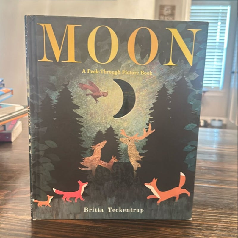 Moon: a Peek-Through Picture Book