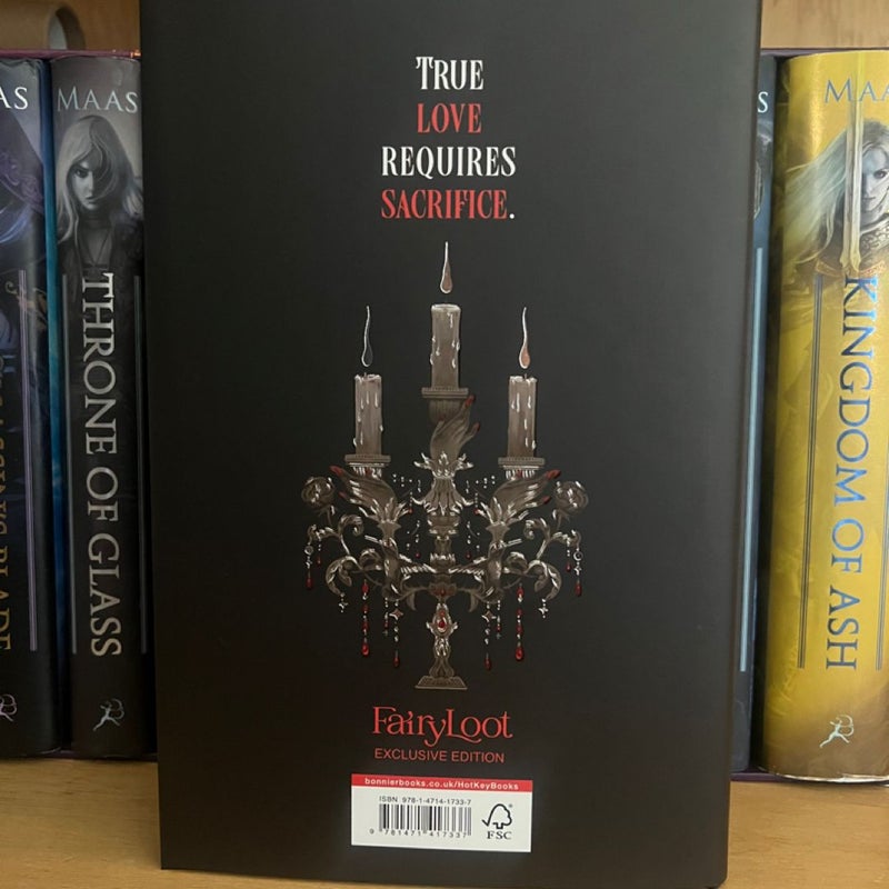 Where shadows meet fairyloot