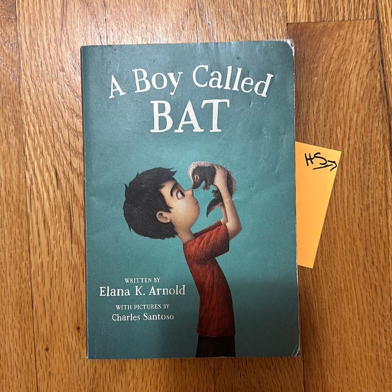 A Boy Called Bat