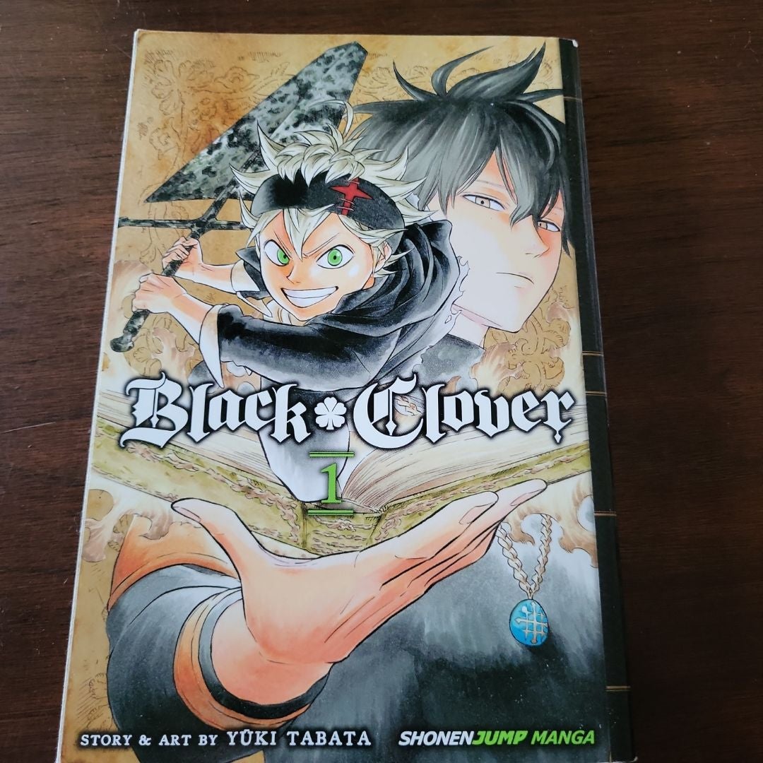 SATOSHI MIYATA 作品　Black Clover SATOSHI MIYATA 作品 Black Clover Black Clover, Vol. 19 | Book by