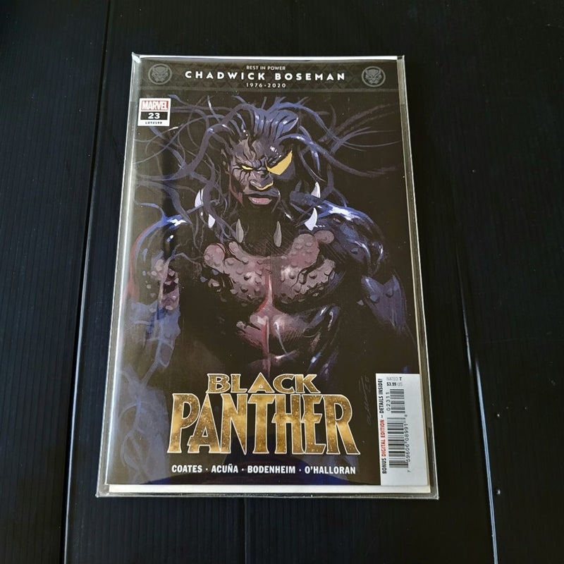 Black Panther #23
