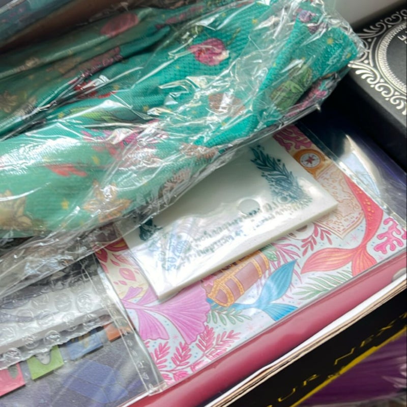 Assortment of book box goodies 