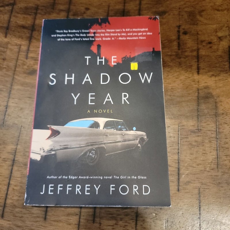 The Shadow Year