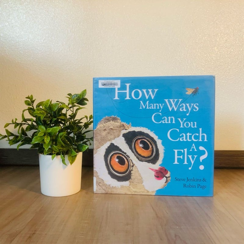 How Many Ways Can You Catch a Fly?