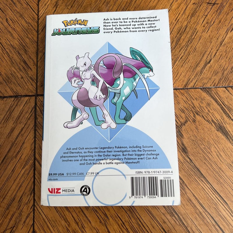 Pokémon Journeys, Vol. 3
